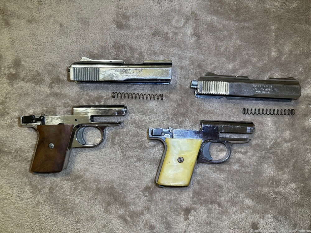 Raven Arms MP-25 AND Phoenix Arms Raven (.25ACP 6rd - 3 Mags) BUNDLE - USED-img-4