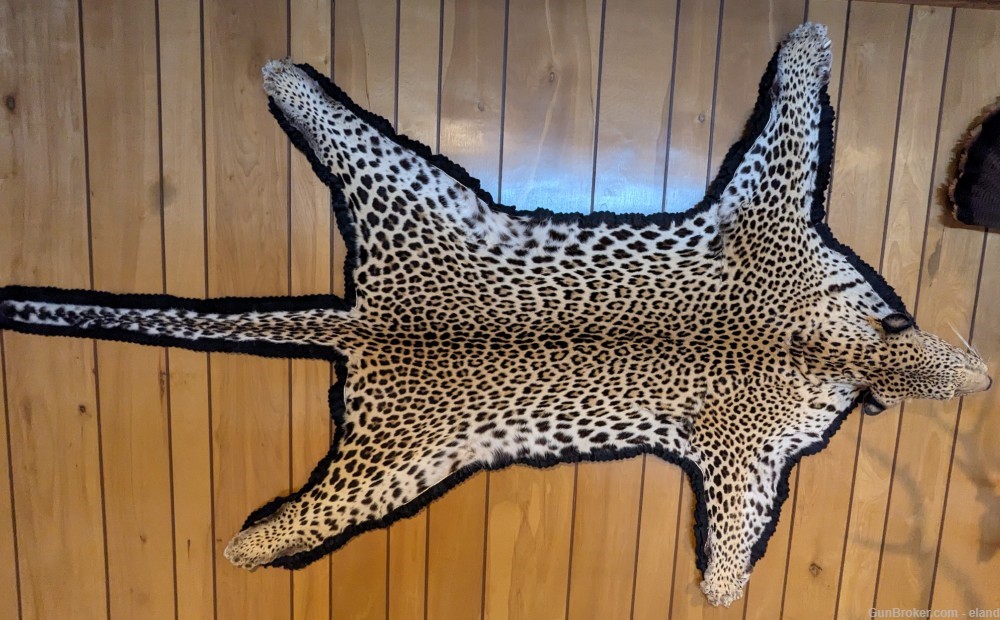 Beautiful Leopard Rug/Wall Hanging from Mozambique-img-0