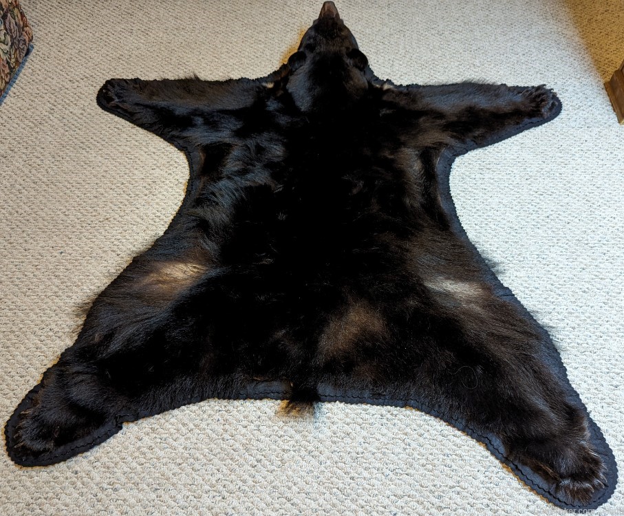 Beautiful Black Bear Rug/Wall Hanging from Vancouver Island-img-2