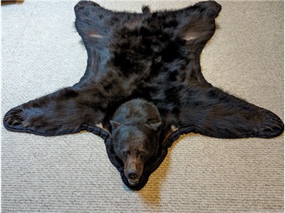 Beautiful Black Bear Rug/Wall Hanging from Vancouver Island