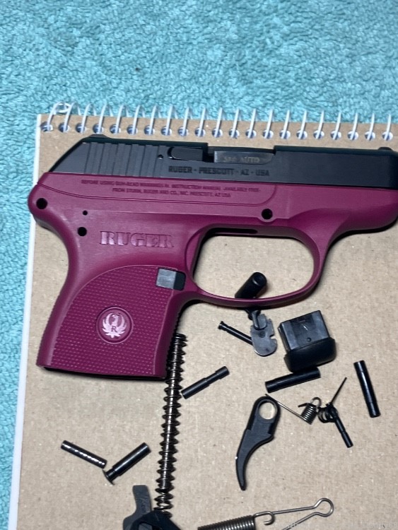 Ruger LCP 380 parts kit! Build your own, no ffl!-img-18