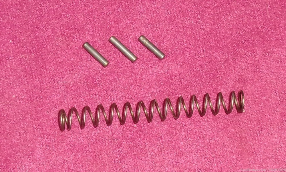 RAVEN MP-25 RECOIL SPRING & (3) RETAINER PINS-img-0