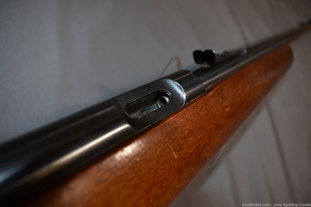 Marlin Glenfield Model 15 - .22 S/L/LR Bolt-Action Rifle w/ Squirrel Decor -img-22