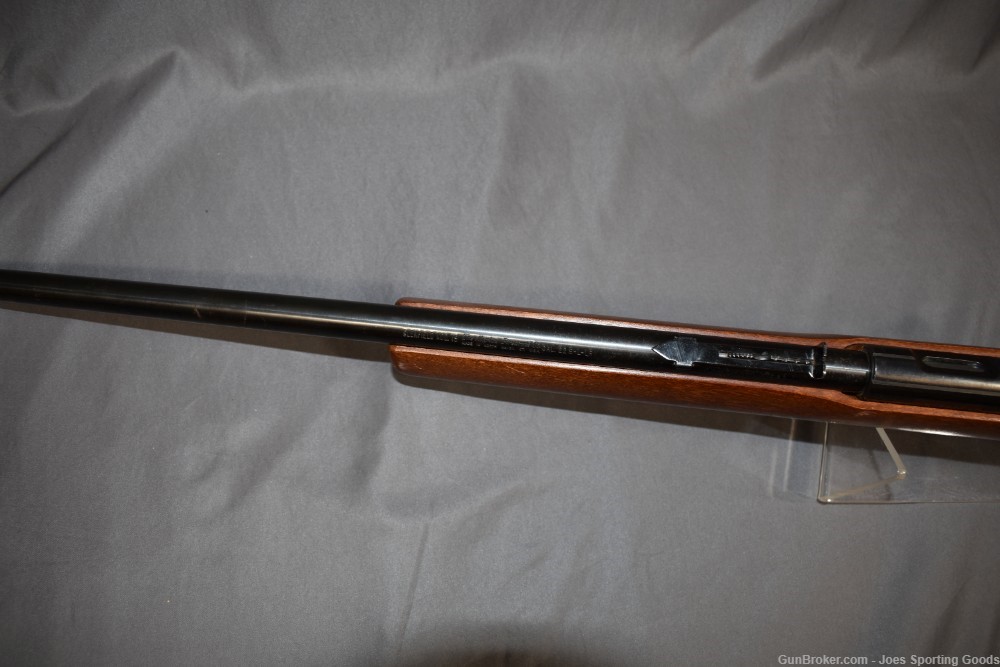 Marlin Glenfield Model 15 - .22 S/L/LR Bolt-Action Rifle w/ Squirrel Decor -img-14