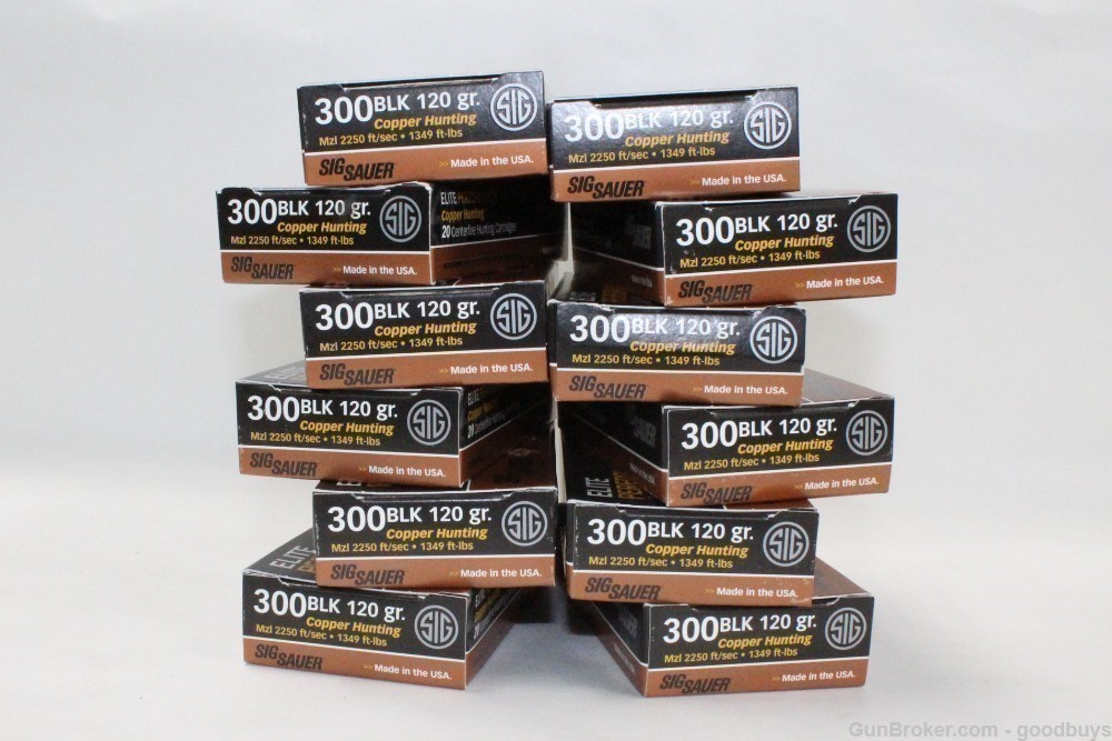SIG 300 BLKOUT 120GR COPPER HUNTING E300H1 20 12 BOXES 240 ROUNDS AMMO-img-0