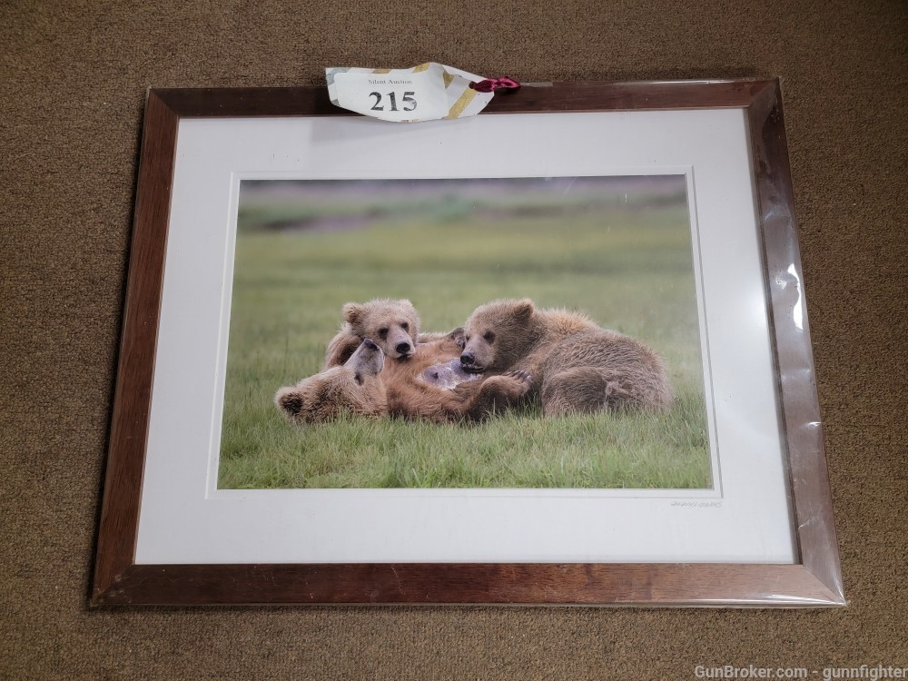 Professional Picture of a Mother Brown Bear and Cubs Feeding and knapping-img-3