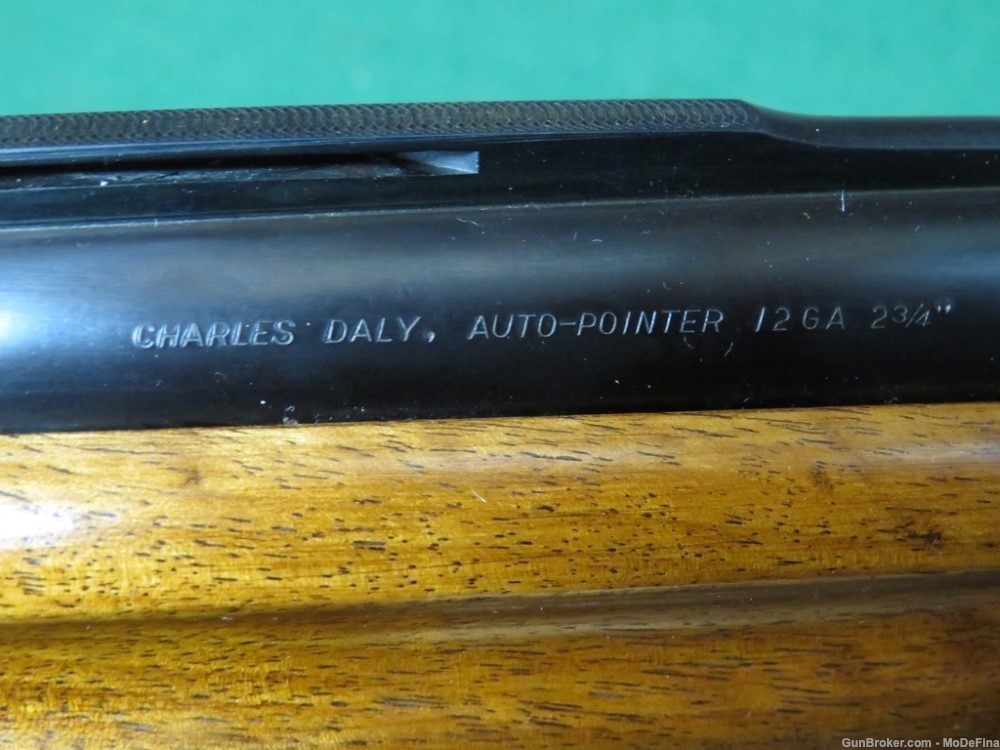 Charles Daly Auto Pointer 12 Ga Semi Auto Shotgun-img-6