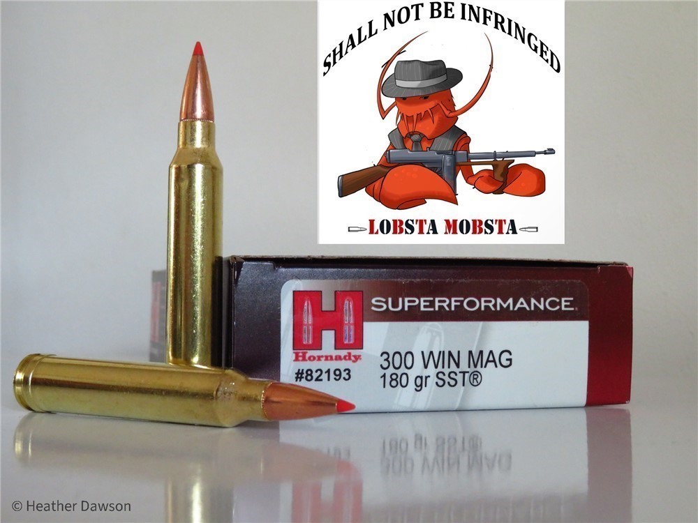 Hornady 300 win mag Superformance SST 180 grain ammo #82193-img-0