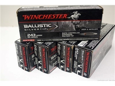 Winchester 243 wssm ballistic tip WSSM 95gr 20 rounds 