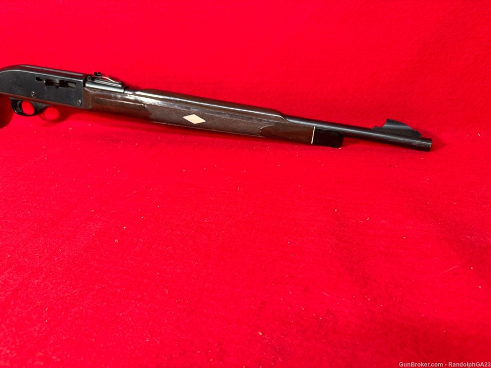 Remington Nylon 66  22LR-img-0