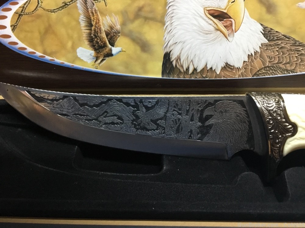 Fixed Blade Eagle Art Collector Knife Stainless Steel 12" OVl Wood Case NIB-img-4
