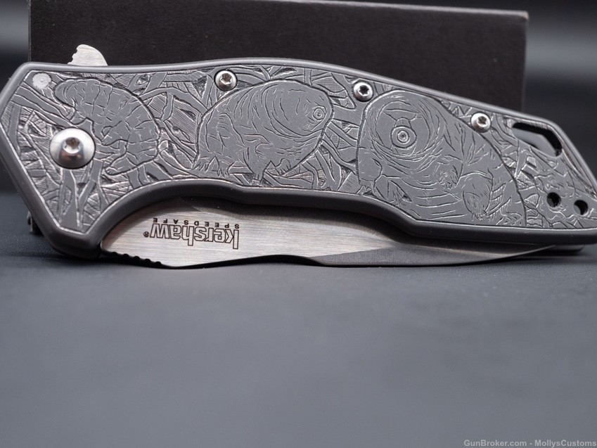 Tardigrade | Knife (Kershaw Eris)-img-5