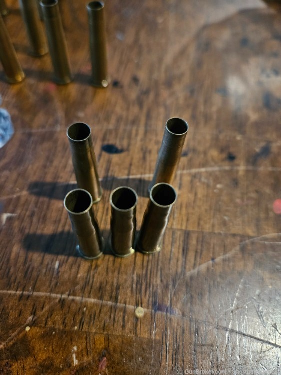 22 hornet brass primed Winchester -img-1