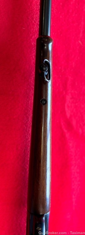 Winchester 1895 in .303 British-img-15