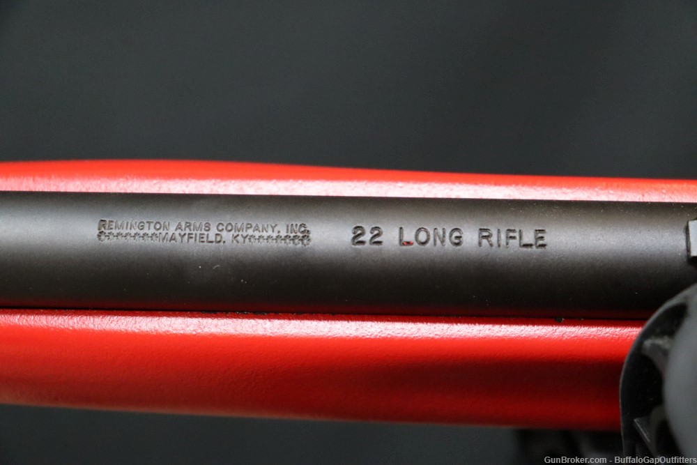 Remington 597 .22 LR Semi Auto *Dale Earnhardt Jr NIB*-img-10