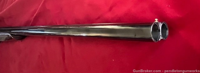 CZ sharp tail 20 gauge 3 inch  28 in barrels Winchester browning -img-5