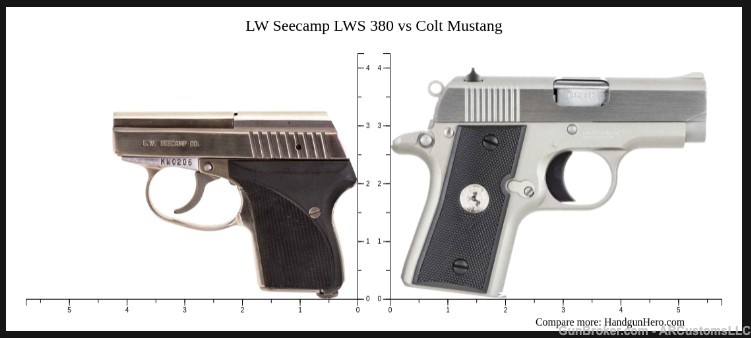 Smallest 380 ACP Pistol Seecamp LWS-380 Stainless-img-4