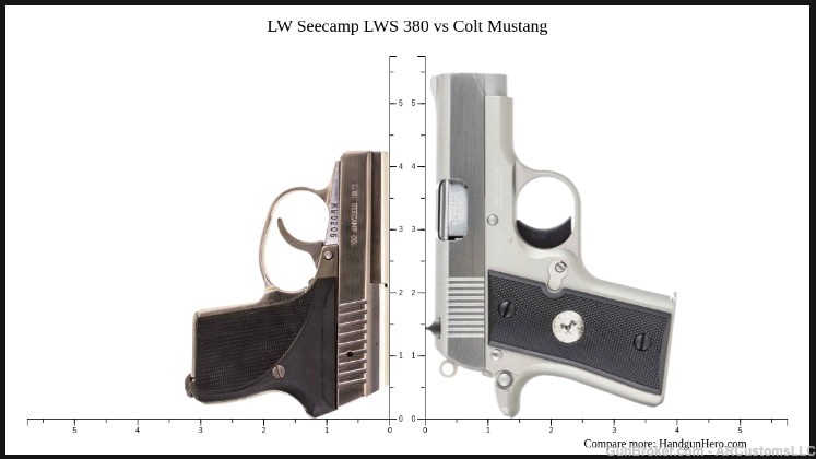 Smallest 380 ACP Pistol Seecamp LWS-380 Stainless-img-5