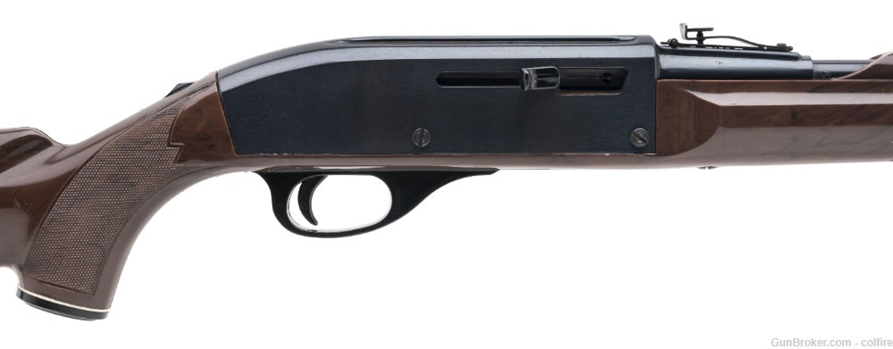 Remington Nylon 66 Rifle .22lr (R42299)-img-1