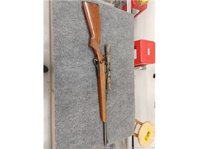 Remington MOHAWK 600 in 308