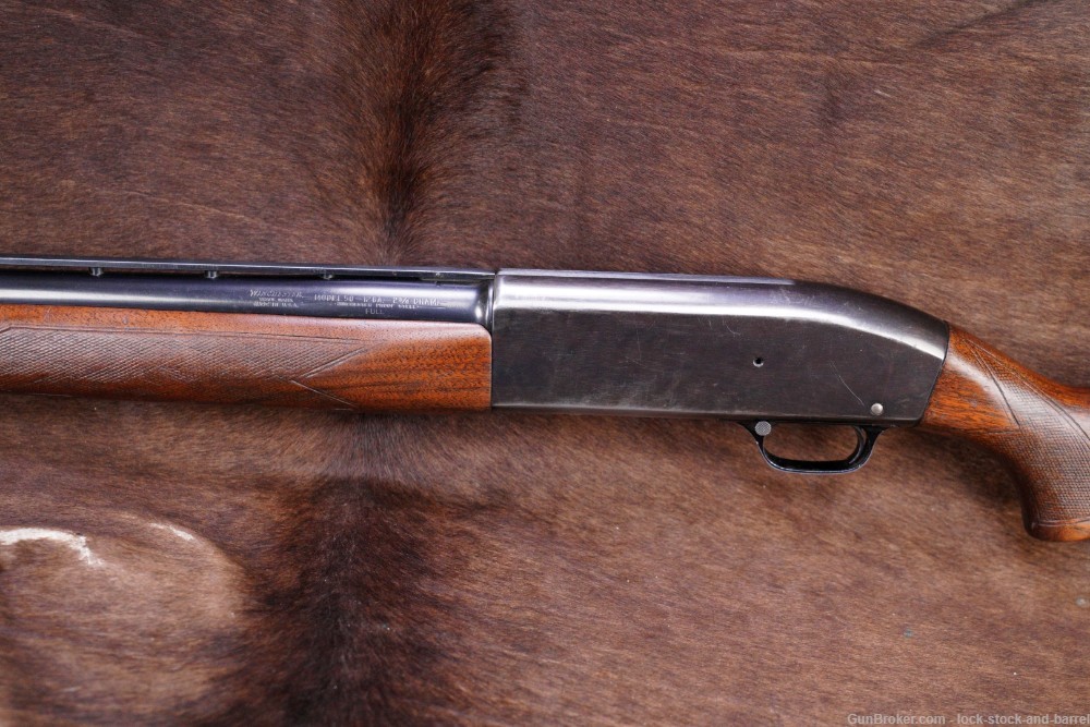 Winchester Model 50 12 Gauge CYL 30” Semi Auto Shotgun, MFD 1955 C&R-img-9