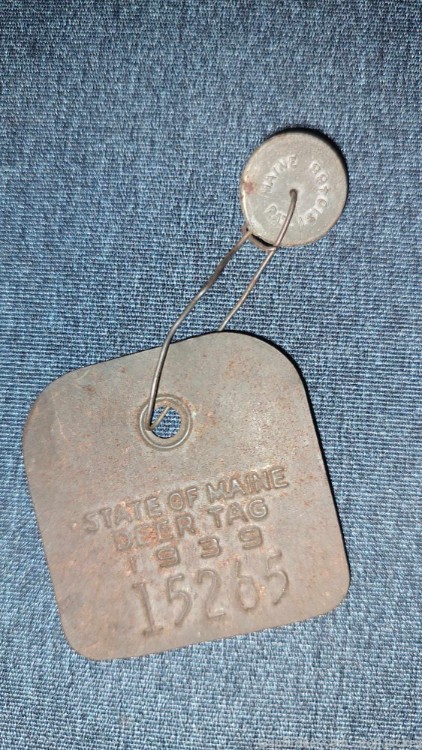 1939 Pre-WW2 Maine Steel Deer Hunting License Tag Collectible Game Warden-img-0