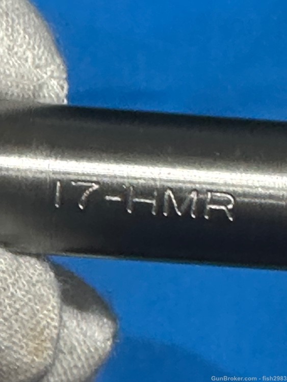 stinger pen gun 17 HMR Barrel -img-2