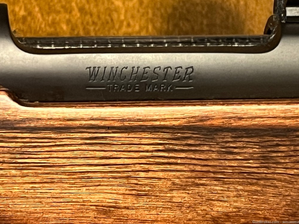Winchester 70 Coyote 22-250 24" Stainless HB Laminate as NEW CONDITION! 730-img-13