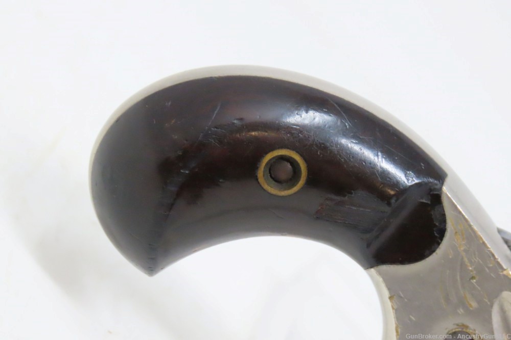 Scarce “PINTO” Antique COLT “NEW LINE” .22 RF ETCHED PANEL Pocket Revolver -img-11