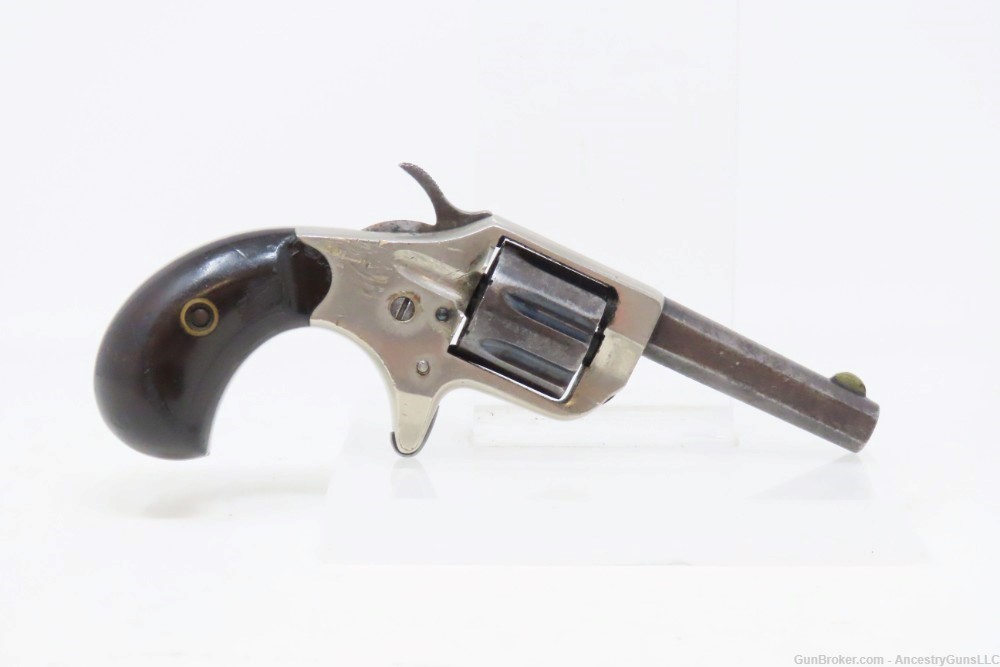 Scarce “PINTO” Antique COLT “NEW LINE” .22 RF ETCHED PANEL Pocket Revolver -img-10