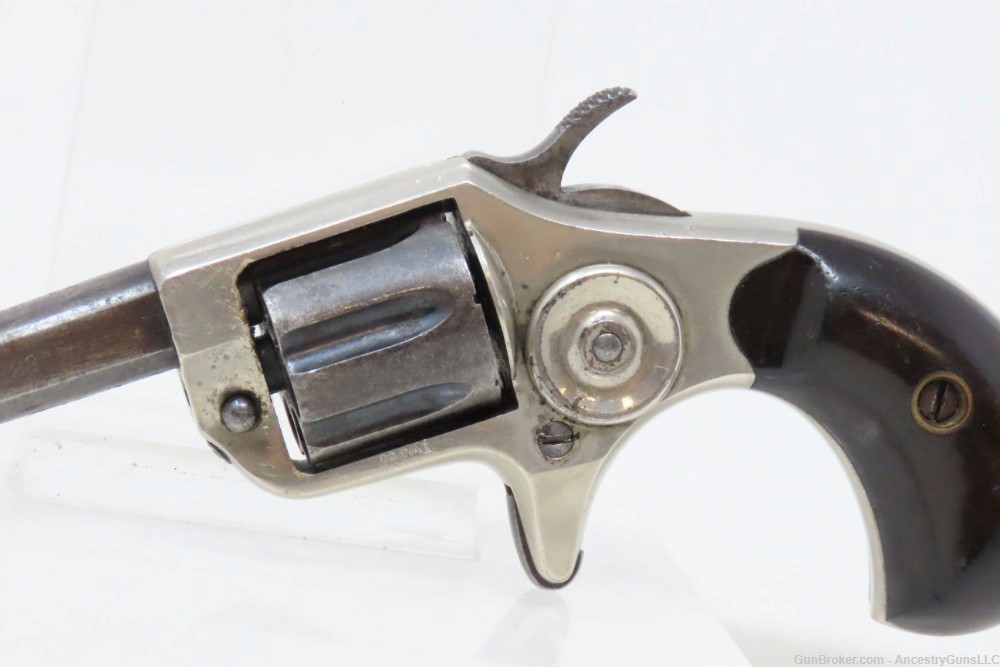 Scarce “PINTO” Antique COLT “NEW LINE” .22 RF ETCHED PANEL Pocket Revolver -img-3
