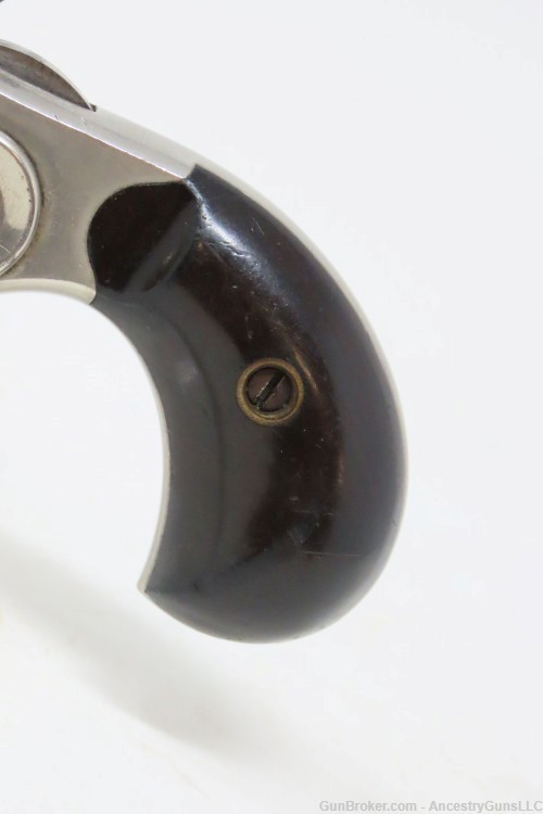 Scarce “PINTO” Antique COLT “NEW LINE” .22 RF ETCHED PANEL Pocket Revolver -img-2