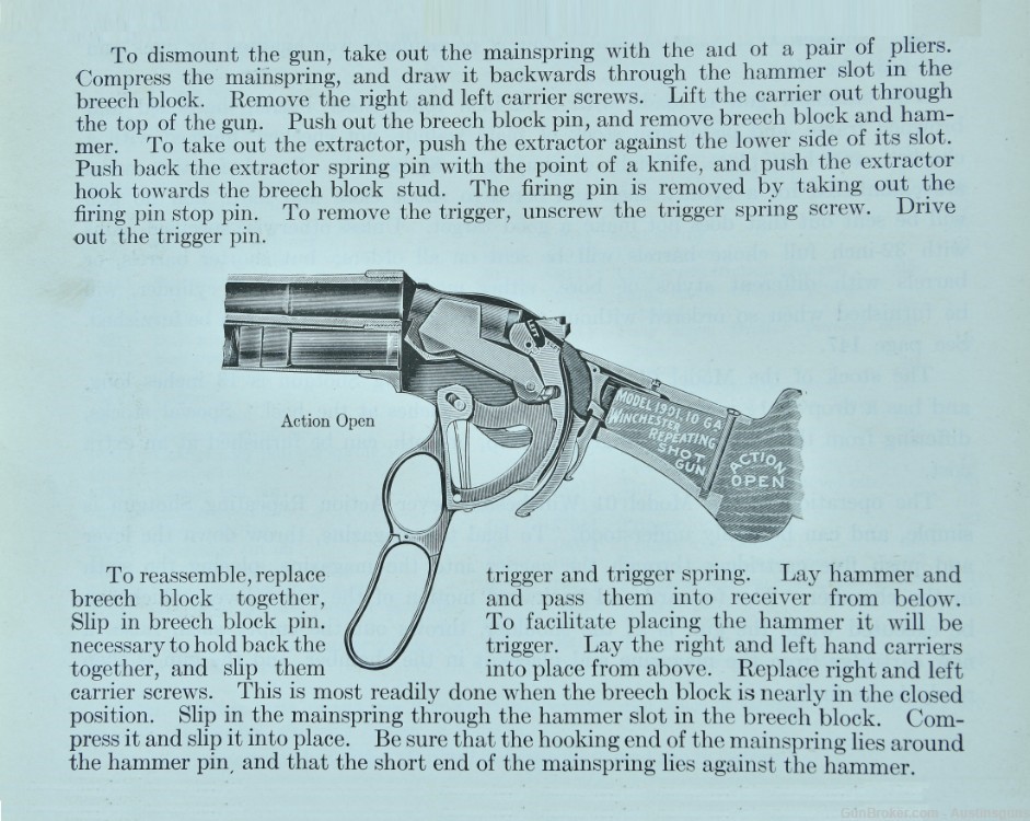 Winchester Model 1901 10 ga Shotgun *UNTOUCHED COND.*-img-14
