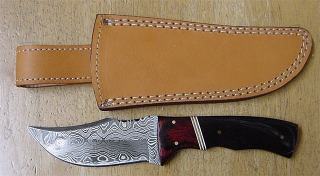 Damascus   Skinner Buffalo Horn Handle Knife 1054 SALE-img-0