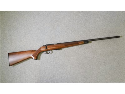 Remington Arms 541T 22 LR
