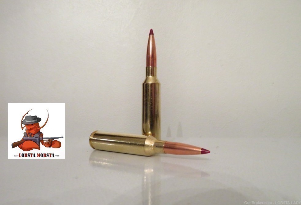 Hornady 7mm PRC 175gr ELD-X Precision Hunter 20 ROUNDS 80712-img-3