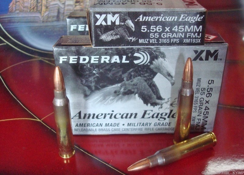 1000 FEDERAL 5.56 FMJ 55 grain brass XM193X Factory New Ammunition-img-1