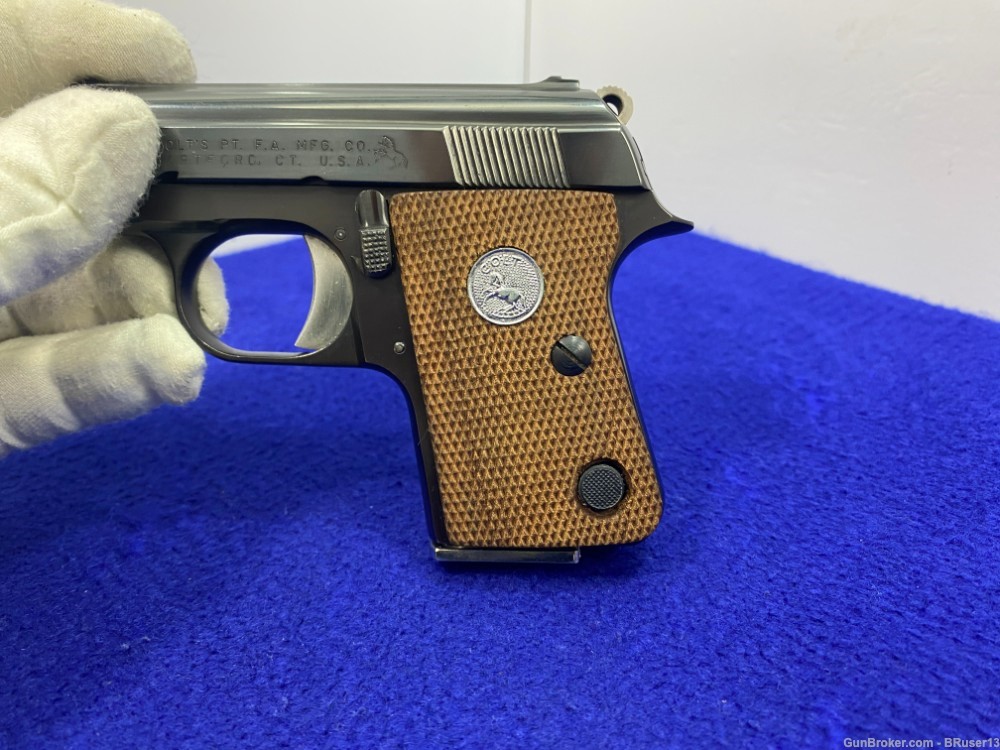 1973 Colt Junior .25 ACP Blue 2 1/4" *THE ULTIMATE POCKET PISTOL* Amazing  -img-33