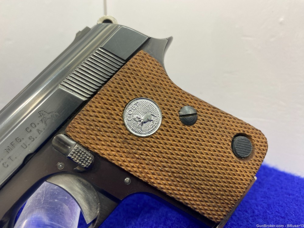 1973 Colt Junior .25 ACP Blue 2 1/4" *THE ULTIMATE POCKET PISTOL* Amazing  -img-6