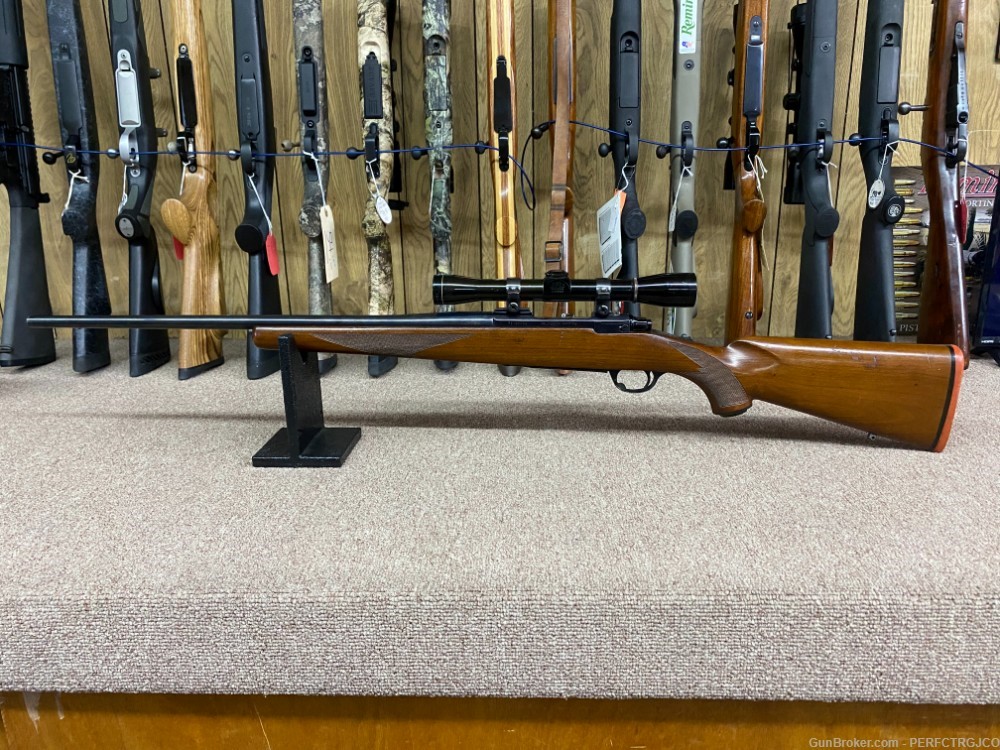 Ruger M77 .243Win, Leupold M8-4x Scope on Top-img-11