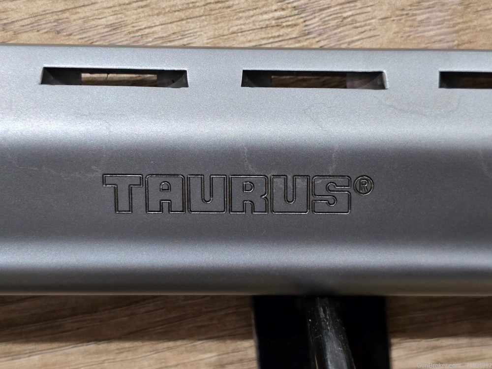 Taurus Raging Hornet-img-2