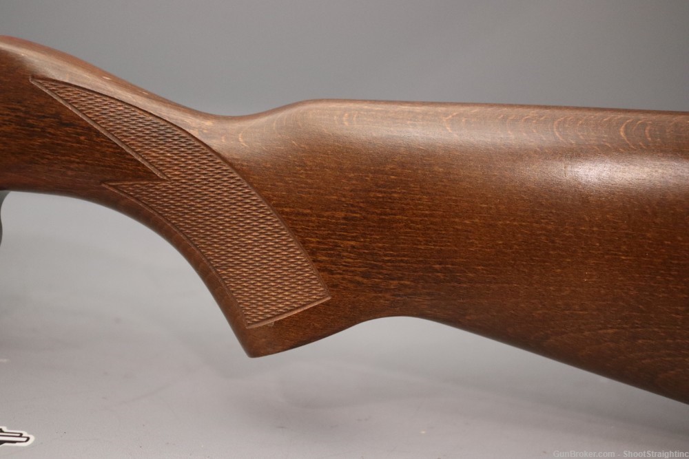 Ruger 10-22 .22LR 22.00"bbl STS (Lipsey's Exclusive)-img-21