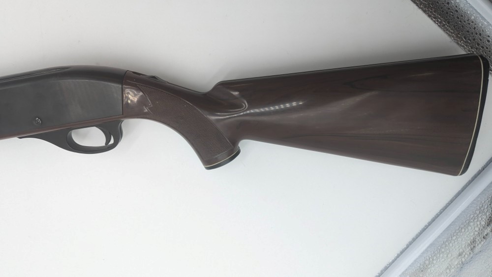 Remington Nylon 66 22lr -img-5