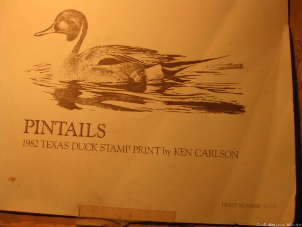 Texas Duck Stamp LTD ED Print Litho #8027 / 9500 1982 + stamp  Ken Carlson -img-4
