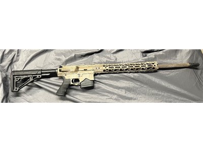 AR10 308, custom, TMC Guardian 308 long range  