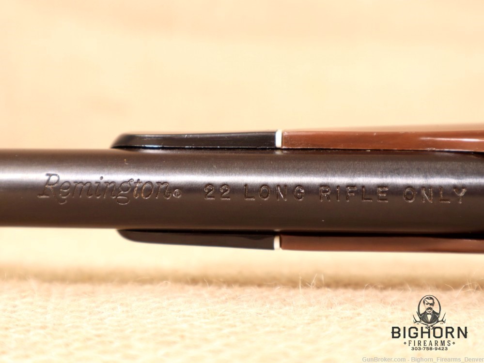 Remington Nylon 66 .22 LR *THE CLASSIC MOHAWK BROWN PLASTIC FANTASTIC*PENNY-img-12