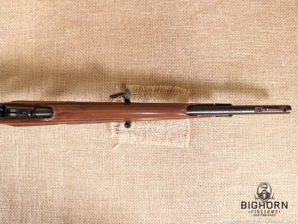 Remington Nylon 66 .22 LR *THE CLASSIC MOHAWK BROWN PLASTIC FANTASTIC*PENNY-img-35