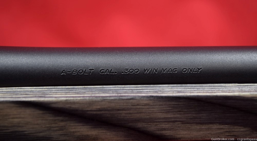 Browning A-Bolt Hunter model I - .300 Win. mag-img-20