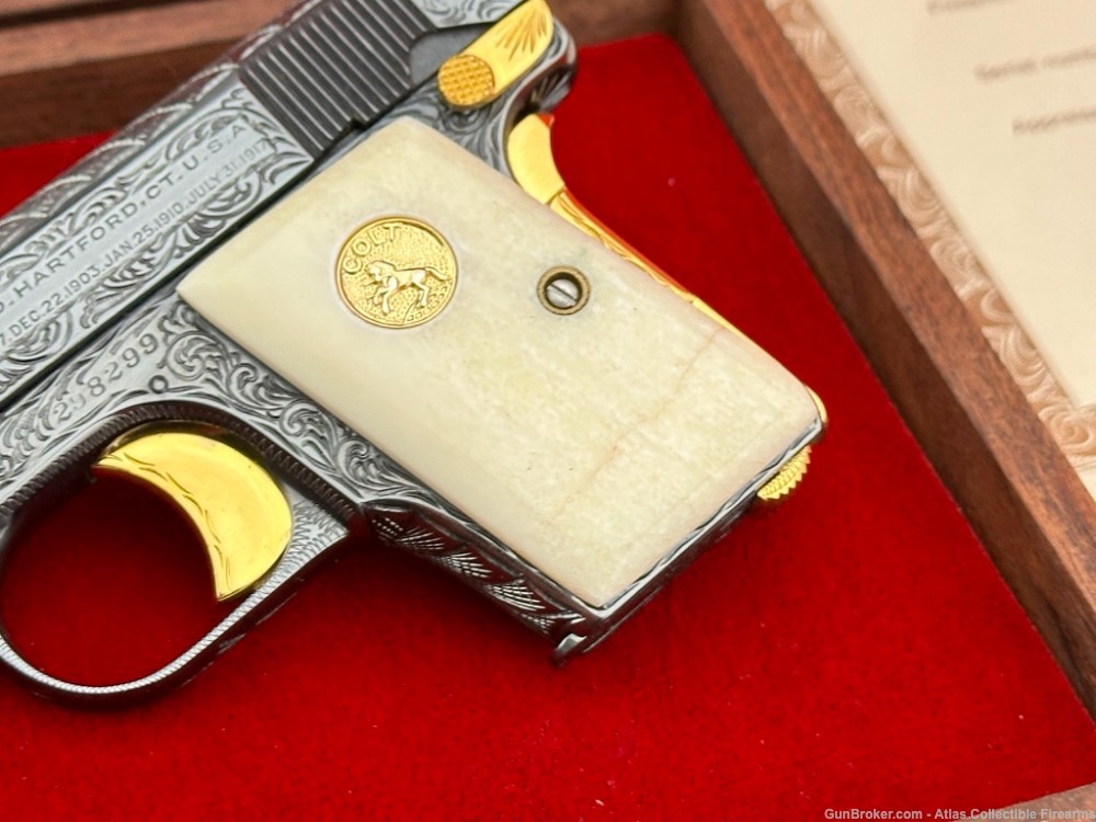 1921 Colt M1908 Vest Pocket 25 ACP Blue/Gold *HAND ENGRAVED & GIRAFFE BONE*-img-4