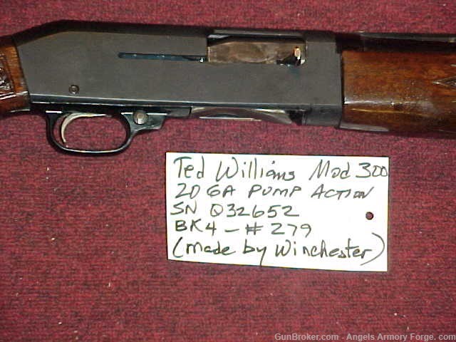 BK#279 - Ted Williams Model 300 - 20 Ga Semi Auto-img-0